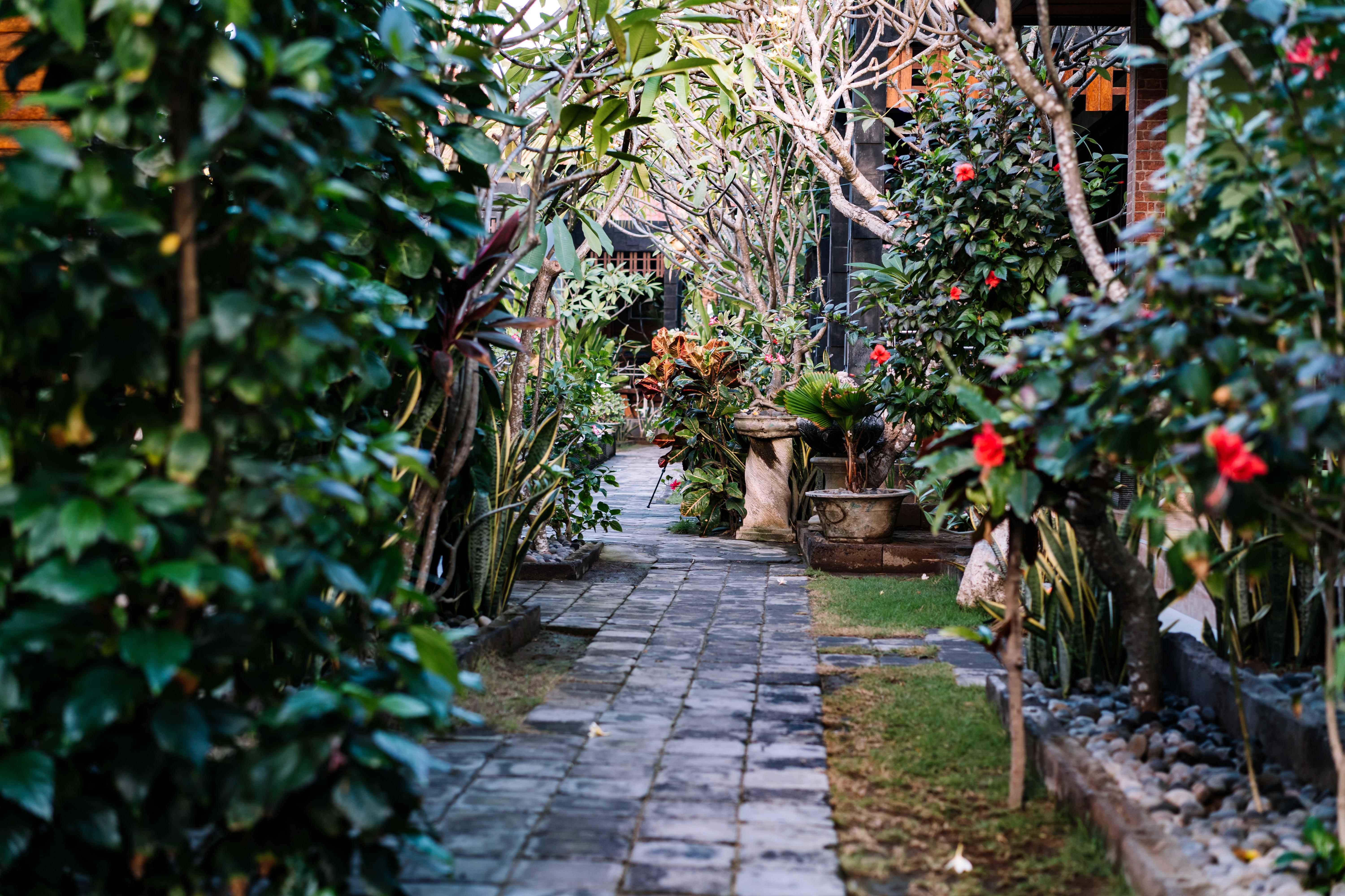 D And B Bungalow'S By Dewizz Management Nusa Lembongan  Exterior photo